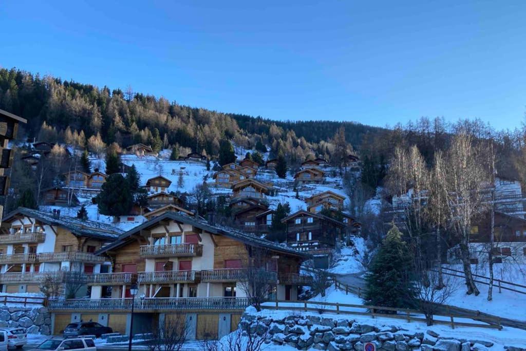Apartment - Cosy Et Central, Haute-nendaz, 4 Vallees Nendaz
